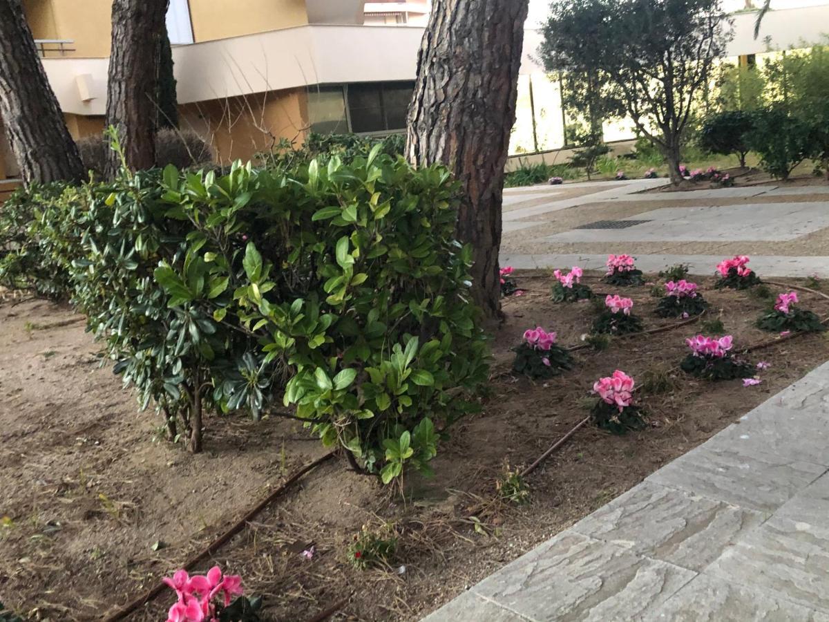 Residence La Miougrano Frejus Plage エクステリア 写真